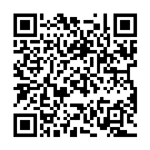 叶城……请你一定要帮我化解清浅的怨气…拜托了……二维码生成