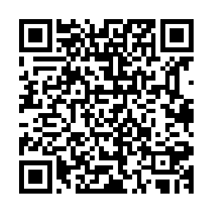 叶妩大概的巡查了一遍峡谷内的构造和翡翠原生石的分布状况二维码生成