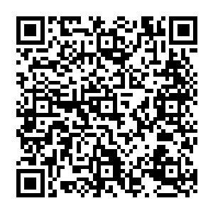 叶尊给隐藏在暗处的林家死士做了一个手势之后便是如同闪电般的射向一名地皇境黑衣人二维码生成