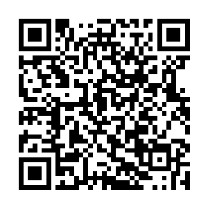 叶尘自轻纱之下看到了那张吹弹可破完美无暇的娇容二维码生成