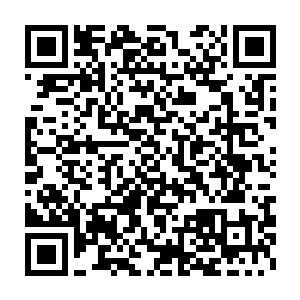 叶惜筠将星帝山的两件虚王级秘宝的威能和模样详细地描述了一番二维码生成