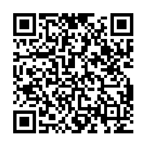 叶惟决定留在斯普林菲尔德和剧组过完万圣夜再一起回去二维码生成