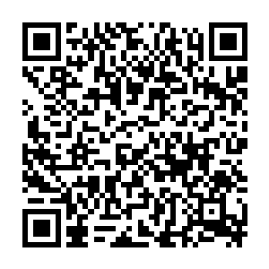 叶明静和向婉会作为牟晨菲的代表出现在粤州跟香港的发布会现场二维码生成