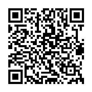 叶星拿出了几支没有用过的箭放在自己的箭筒中二维码生成