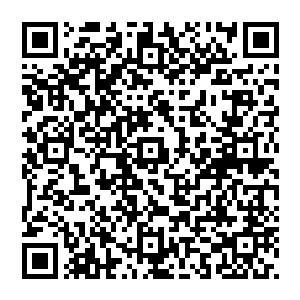 叶枫也听说过不少修为不达标的修真者却去接触那些法力无边的远古法器结果到头来自己反被法器控制二维码生成