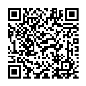 叶枫等凤翎与凰舞将凤舞的成员全部移走之后才开始执行融合二维码生成