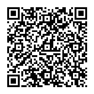 叶楚再次吐血在这老者攻击之下任何还手之力就算施展瞬风决也躲不开不是一个级别斗法二维码生成