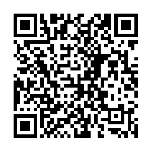 叶楚终于是完成了这一段长约二十米左右的阵环的绕法二维码生成