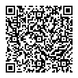 叶河县公安局分管刑侦的局领导和刑警队长都纷纷表示一定要按照陆为民的指示把此案办成铁案二维码生成