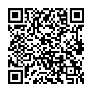 叶浩根和顾乔已经知道了叶惟的维加斯行程计划二维码生成