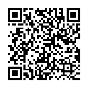 叶海凝像一只慵懒的小猫一样调整了一个舒服的睡姿又继续睡了二维码生成