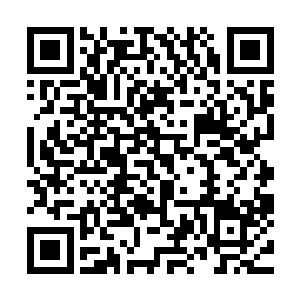 叶海凝正用着一脸呆萌的表情对阵他的冷漠中即将爆发的愤怒二维码生成