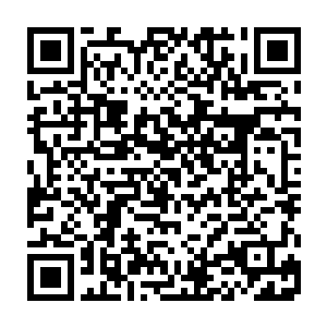 叶璃也确实想不到需要问墨景黎要些什么有价值而墨景黎又愿意给的东西二维码生成