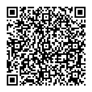 叶璃几乎可以想象那时候才七八岁的墨修文抱着刚刚出生的弟弟守着冷清清的定王府是什么样的情形二维码生成