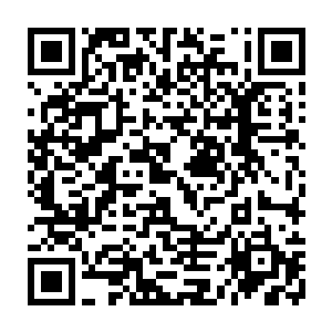 叶璃已经习惯了在收到东西的第一时间将他们全部看完记在脑海里然后毁尸灭迹二维码生成