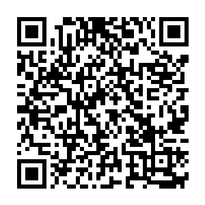 叶璃并不觉得这世上人人都应该对自己无条件的服从效忠无怨无悔二维码生成