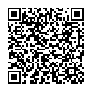 叶璃怀疑墨小宝是不是将被他父王欺负的怨气都转移到冷君涵身上去了二维码生成