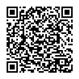 叶璃想起被丢下的任琦宁那一副仿佛吞了苍蝇的模样还是忍不住笑出声来二维码生成