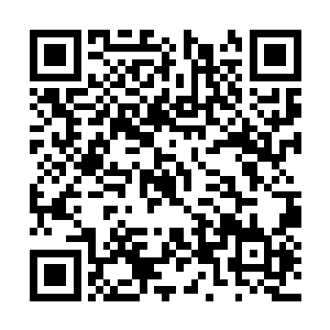 叶璃抬手锋利的指甲在墨景黎脖子上划出一道血痕二维码生成