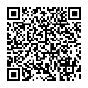 叶璃换了身衣裳随着管家娘子到了叶老夫人的荣乐堂时里面正是一片和乐融融二维码生成