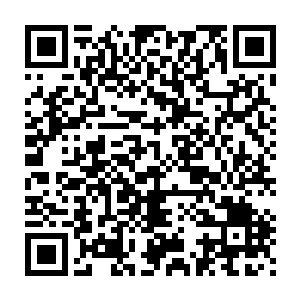 叶璃还是被徐二夫人和两位嬷嬷押着在床上趟了半个月才允许自由活动二维码生成