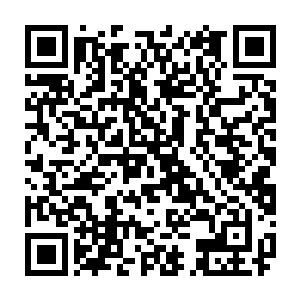 叶秋不知道自己的这一举动已经让猎人学校的监控室内的教官们坐不住了二维码生成