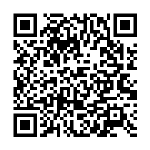 叶秋与叶凡的攻击速度和力量竟然再一次的来了一个翻倍二维码生成