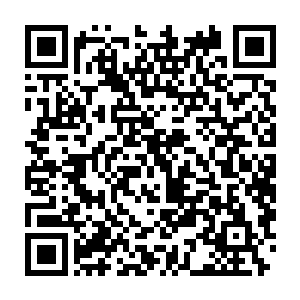 叶秋虽然内劲全无但是从前那百毒不侵和恐怖的恢复力还同往日一样二维码生成