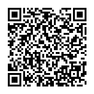 叶笑双眼绽放出森寒的目光注视着对面九个人仍自不断提升的气势二维码生成