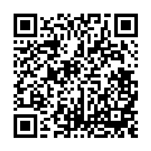 叶芷蔚惊见风暮寒手里握着的缰绳逐渐透出淡淡的血色二维码生成