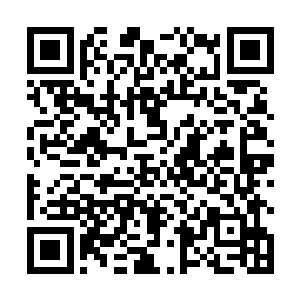 叶莲娜和白熊会负责把你们押送过去交给佩塔克的看守二维码生成