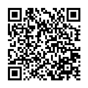 叶蕊和如燕分别在相距不远的一大片灌木从中四处翻找着二维码生成