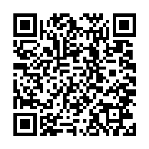 叶辕的拳法是在一次又一次与猛兽的搏杀中淬炼出来的二维码生成
