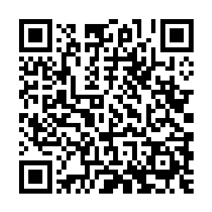 号称三天时间能完成胚胎分割的实验――杨锐对此是完全不信的二维码生成