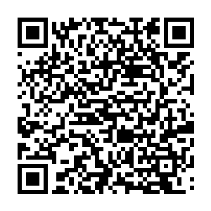 号称整个桃源海域最顶级的拍卖会也将在灵农宝宗范围内的莽海坊市举行二维码生成