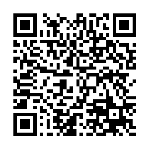 司徒青云更是想不到的……秦方自己也同样修炼了修罗罡气二维码生成