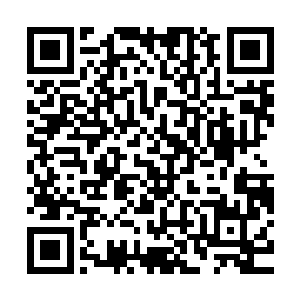 司空雨浩不知是不是感觉到流墨墨对于将来终会离开的一抹怅然二维码生成