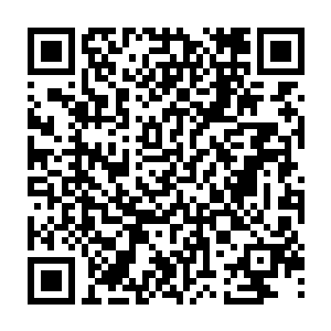 叹为观止的发现舞台边已经排列开数十位进行完各种手术正在后送的伤者二维码生成