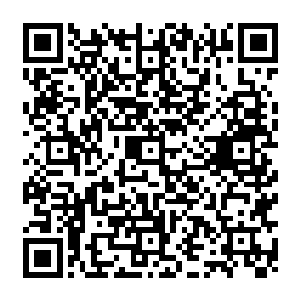各位尊敬的领导……梦幻海洋馆的成立原本是想为祝南镇的经济繁荣做出自己贡献的二维码生成