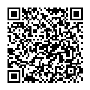 各大宗门自然也是非常乐意的了……巴不得这样的宗门能更多一些的二维码生成