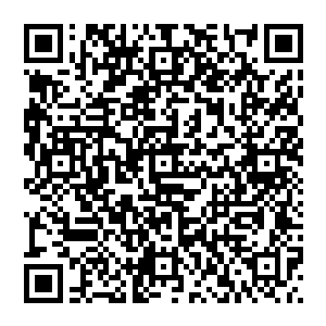 各大院线的观众流量都成为了人们讨论的焦点――因为北美院线联盟参展关系不会把每天的票房数据公布二维码生成