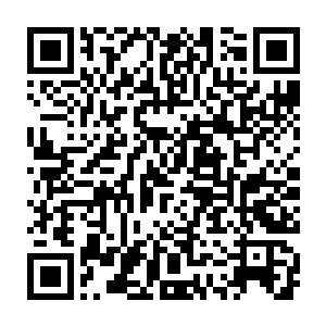 各怀疑畏及锦衣卫三令五申巡察缉捕之程序等皆是朱平安自己杜撰的二维码生成
