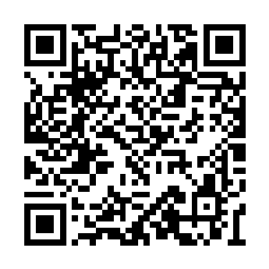 各族有实力又能活动的亲王数目和大君一样稀少二维码生成