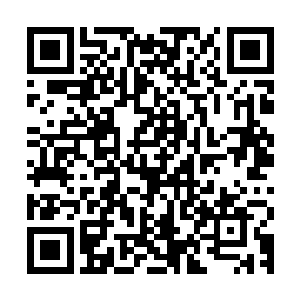 各智慧种族和有角人在经过长久磨合后迟早也会找出一个平衡点二维码生成