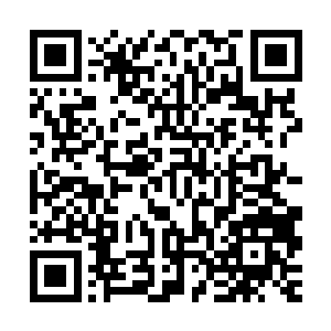 各种号称能够抵御心魔的法器灵器也在身上满满当当的带了一堆二维码生成