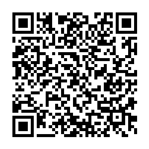 各种各样的或类人形或没有完全脱离本体外形的海族在其中悠闲的游弋二维码生成