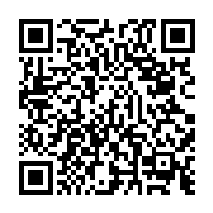 各种求票票哦~~~这周依旧是推荐票第一月票第一打赏第一二维码生成