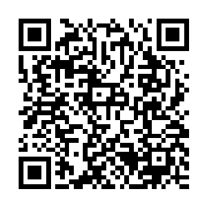 各种病毒在他们身上的变异和爆发速度是别的碳基生命的数十倍二维码生成