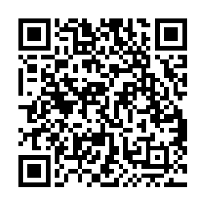 各项判断死亡时间的体检指标不约而同的指向同样的事实二维码生成