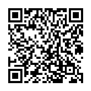 合体的长裤似乎让整个修长浑圆的腿型都一点一点渗出肉感二维码生成